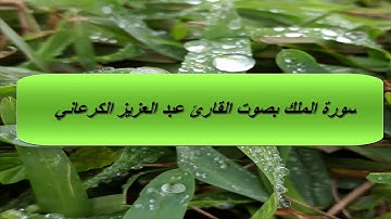 سورة الملك بصوت القارئ عبد العزيز الكرعاني