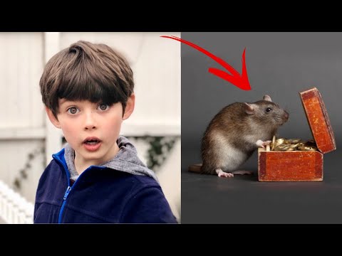 ბიჭი ჩუმად კვებავდა ამ \"მავნე\" ვირთხას,გავიდა ცოტა ხანი და ვირთხამ მის ოჯახს უდიდესი სიკეთე გაუკეთა!