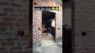 how to grow youtube channel in 1 monthhow to grow youtube channel subscribers