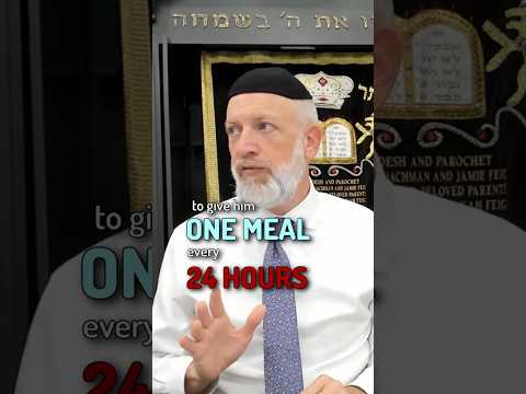 ONE meal every 24 HOURS