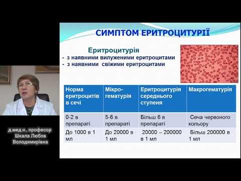 Лекція "Основні симптоми та синдроми при захворюваннях нирок"