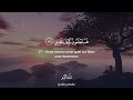 Sourate Al Mulk Mahdi Ash Shishani سورة الملك Sourate Al Mulk Mahdi Ash Shishani سورة الملك
