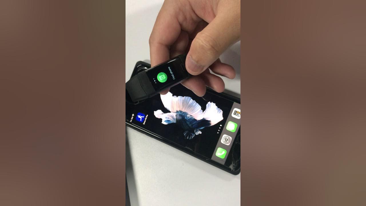 ZewaFit Pro demo YouTube