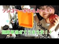 素朴で簡単!りんごケーキ🍎 バター使わないよ!