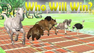 Crazy Animal Race in Rainy Day, Horse, Bear, Ostrich, Goat, Buffalo | Roar Race