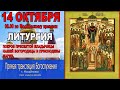 ЛИТУРГИЯ (14.10.2020) ПОКРОВ ПРЕСВЯТОЙ ВЛАДЫЧИЦЫ НАШЕЙ БОГОРОДИЦЫ И ПРИСНОДЕВЫ МАРИИ