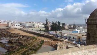 Essaouira , chilling , birds , blue sky