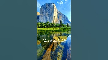 سورة الحُجرات ۝١٢ القارئ ياسر الدوسري "اكـتـب شـي تـؤجـر عـلـيـه! 💛" #لا_اله_الا_الله #قرآن