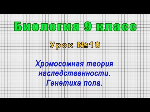 Биология 9 класс (Урок№18 - Хромосомная теория наследственности. Генетика пола.)