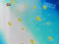 CiTV Startup V2 October 2002 March 2003 CiTV Startup V2 October 2002 March 2003