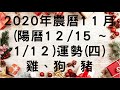 【古柏論命-張古柏】2020年農曆11月(陽曆12/15 ~ 1/12)生肖八字流月運勢分享 (四) 雞、狗、豬