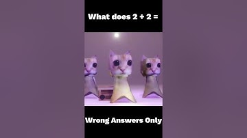 Wrong Answers Only #shorts #funny #elgato #cat #dontscroll