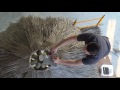 VIVA Palma - Video de Instalación en Sombrilla de Playa