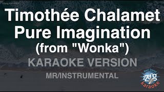 Miniatura de vídeo de "Timothée Chalamet-Pure Imagination (from "Wonka") (MR/Instrumental) (Karaoke Version)"