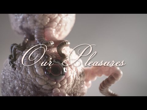 Plus Device — Plus Device - Our Pleasures
