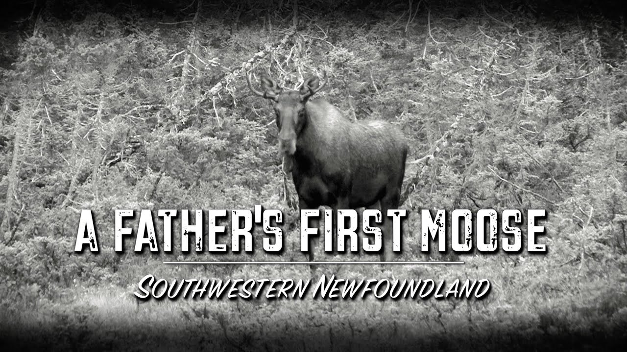 First Moose A Fathers First Moose (TEASER) - YouTube