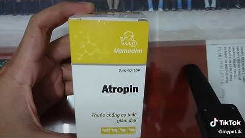 Atropin sulfat 0 25mg là thuốc gì