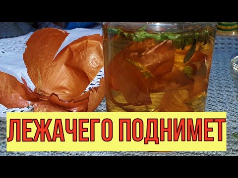 Видео: Привлекает ли сахарная вода желтые куртки?