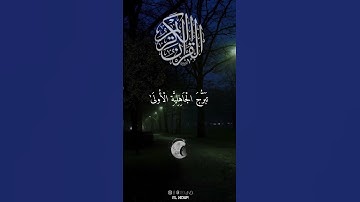 ما تيسر من سورة الاحزاب القارئ عمر سيلدينسكي #اکتب_شی_تؤجر عليه #اكسبلور #اكسبلور_ #دويتو #ريلز