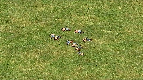 Age of Empires 2 - All Male Death Sounds
