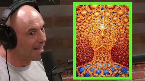 Joe Rogan's DMT Experiences