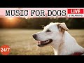 Live dog musicrelaxing music for dogs with anxietyseparation anxiety relief musicdog calm4