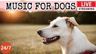 [LIVE] Dog Music🎵Relaxing Music for Dogs with Anxiety🐶🎵Separation anxiety relief music💖Dog Calm🔴4 screenshot 2
