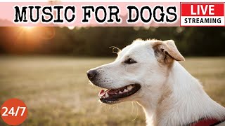 [LIVE] Dog Music🎵Relaxing Music for Dogs with Anxiety🐶🎵Separation anxiety relief music💖Dog Calm🔴4