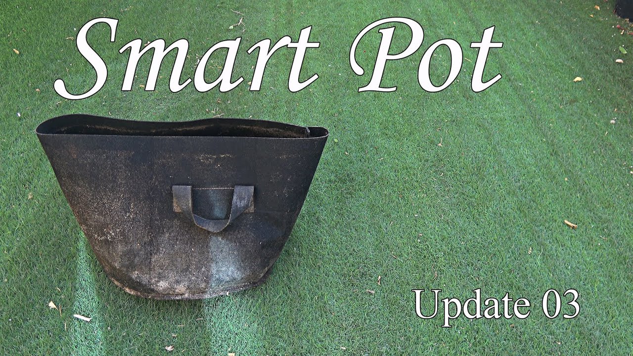 كشف نتائج الزراعة في الأصيص القماشي