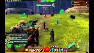 Guild Wars 2 Speed Leveling