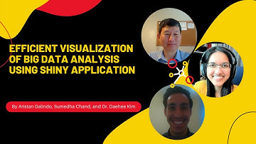 Efficient Visualization of Big Data Analysis Using Shiny Application