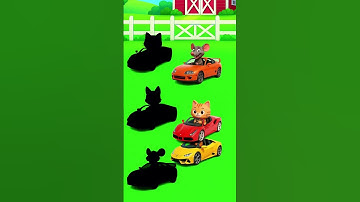 IQ Test ❗❗ Animal Cars #shorts #funny #cartoon #animation