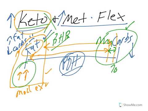 why-a-ketogenic-diet-does-not-increase-metabolic-flexility