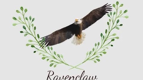 Мастер класс по модулю tkinter в Python