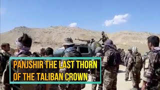 Afghanistan: Panjshir forces claim hundreds of Taliban captured