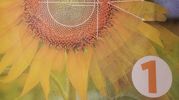 O level maths D1 EX 2D Q18