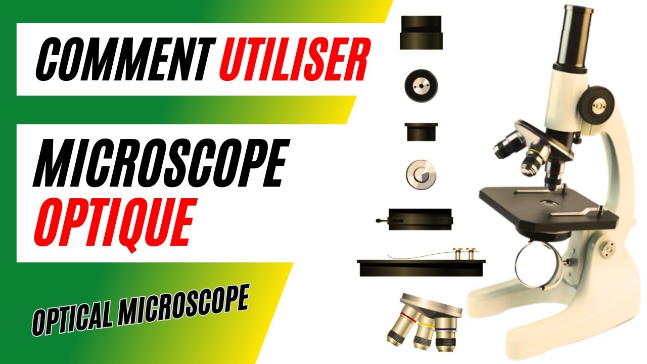 Activité 4 - Apprendre à utiliser un microscope optique. - SVT - collège  Condorcet