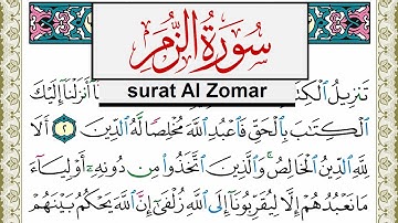 سورة الزمر مكتوبة مشاري العفاسي Surah Al Zomar Mishary Alafasy برواية حفص عن عاصم