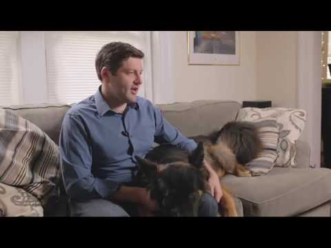Video: Rejuvenate The Doggie: A Harvard Startup Offers To Extend The Life Of Beloved Dogs - Alternative View