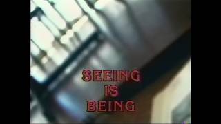 Learning In Progress: Seeing is Being (1996)