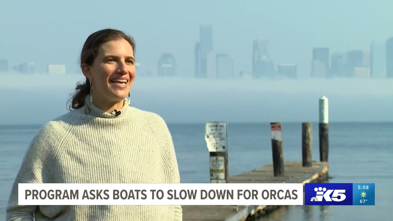 Slow down for whales! Erica Zucco for KING 5 (NBC) Seattle YouTube