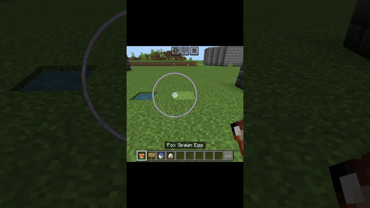 fox vs chicken ❤️‍🔥😱