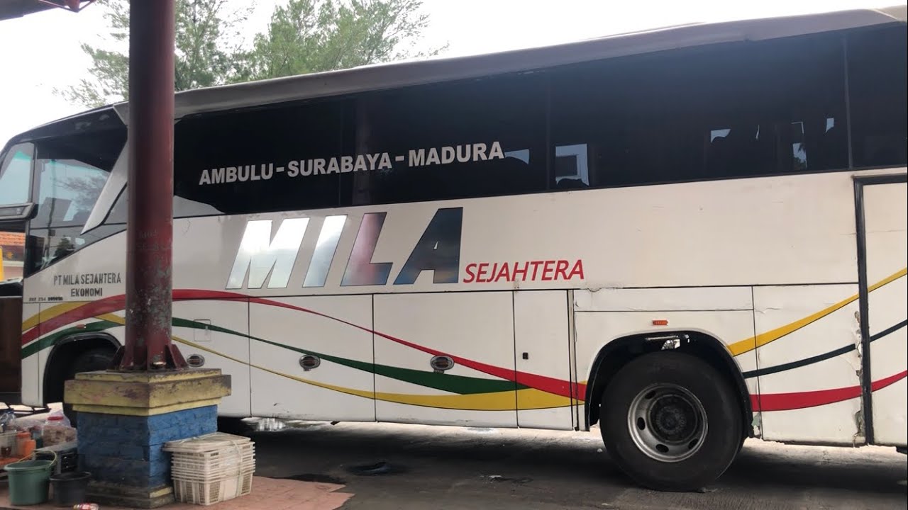 Body REXUS  dari Karoseri PIALA MAS di jalur Surabaya-Ambulu | Trip bersama Bus MILA SEJAHTERA #19