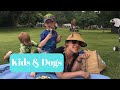 Kids and dogs. Cute and Funny. But how to keep both alive?