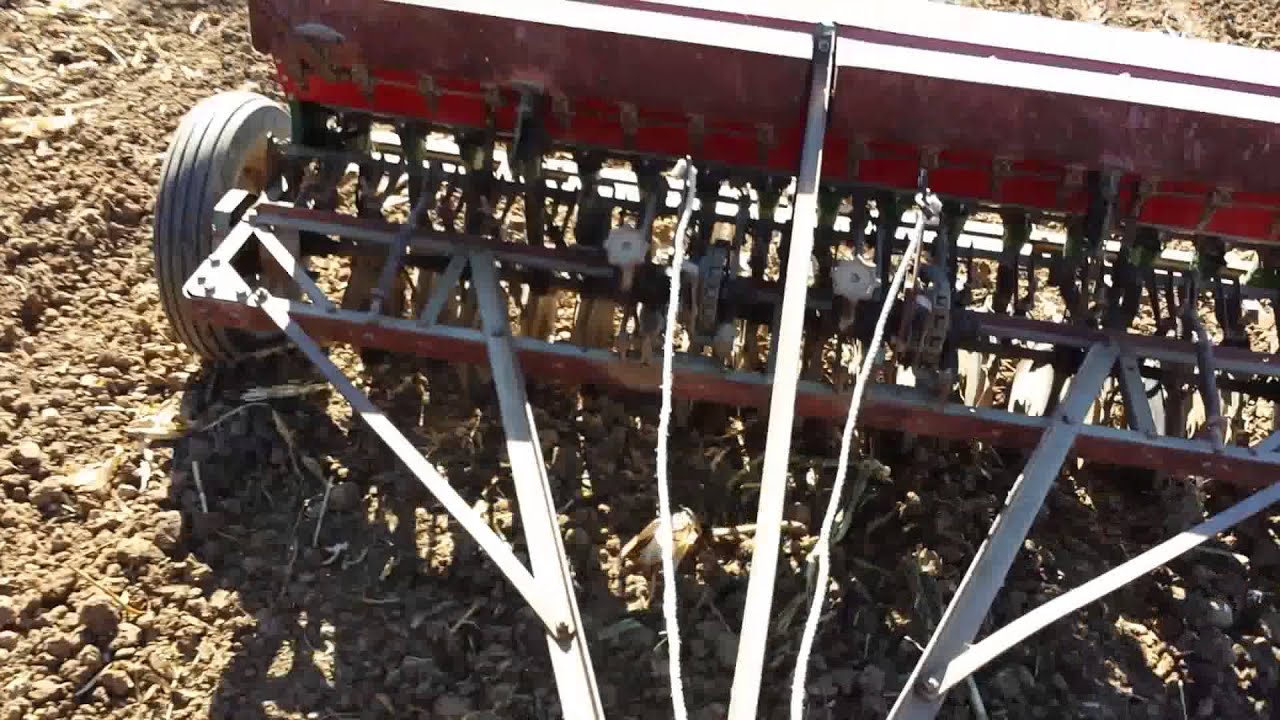 Planting winter wheat with a CASE grain drill YouTube