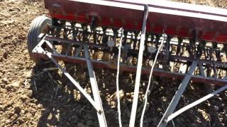 Planting winter wheat with a CASE grain drill