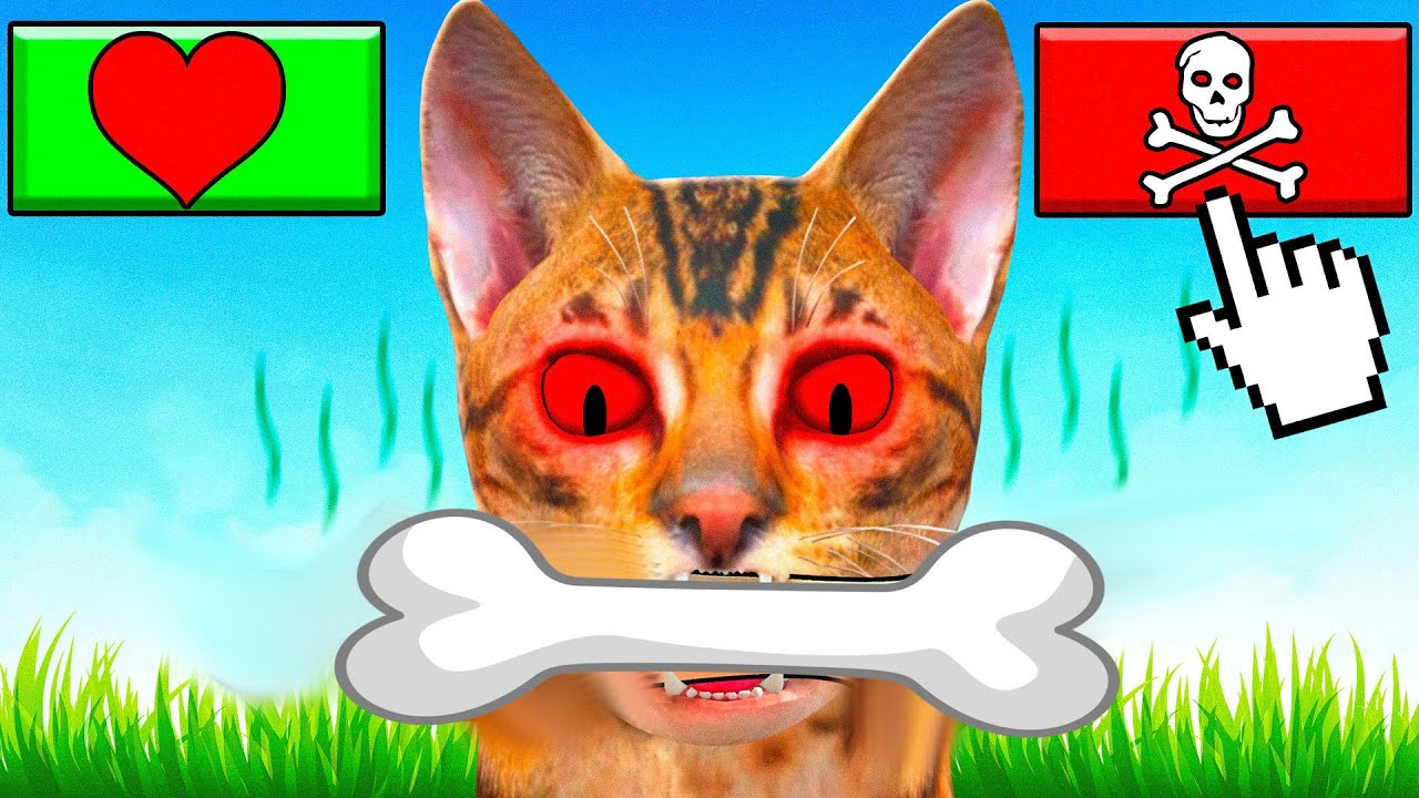 Ich habe die SCHLIMMSTEN ENTSCHEIDUNGEN für MEINE KATZE! (Cat Life Simulator)