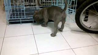 VID 20120601 00004