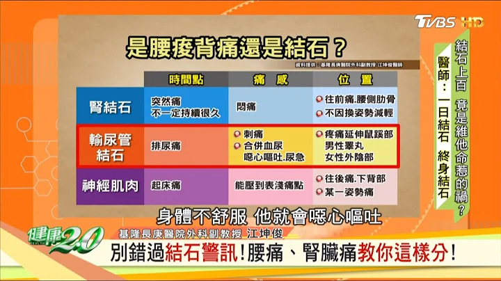 別錯過結石警訊！腰痛、腎臟痛教你這樣分！ 健康2.0 20190601 - 天天要聞