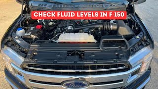 Ford F150 2015-2020 - How to Check all Fluid Levels?